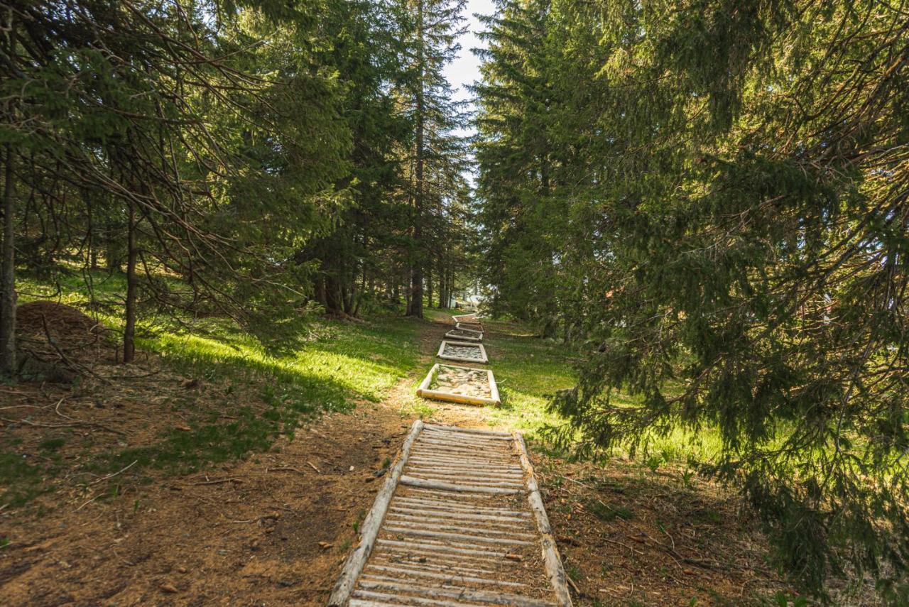 Apartments Rogla Jurgovo - Ski In Ski Out Lukanja Zewnętrze zdjęcie