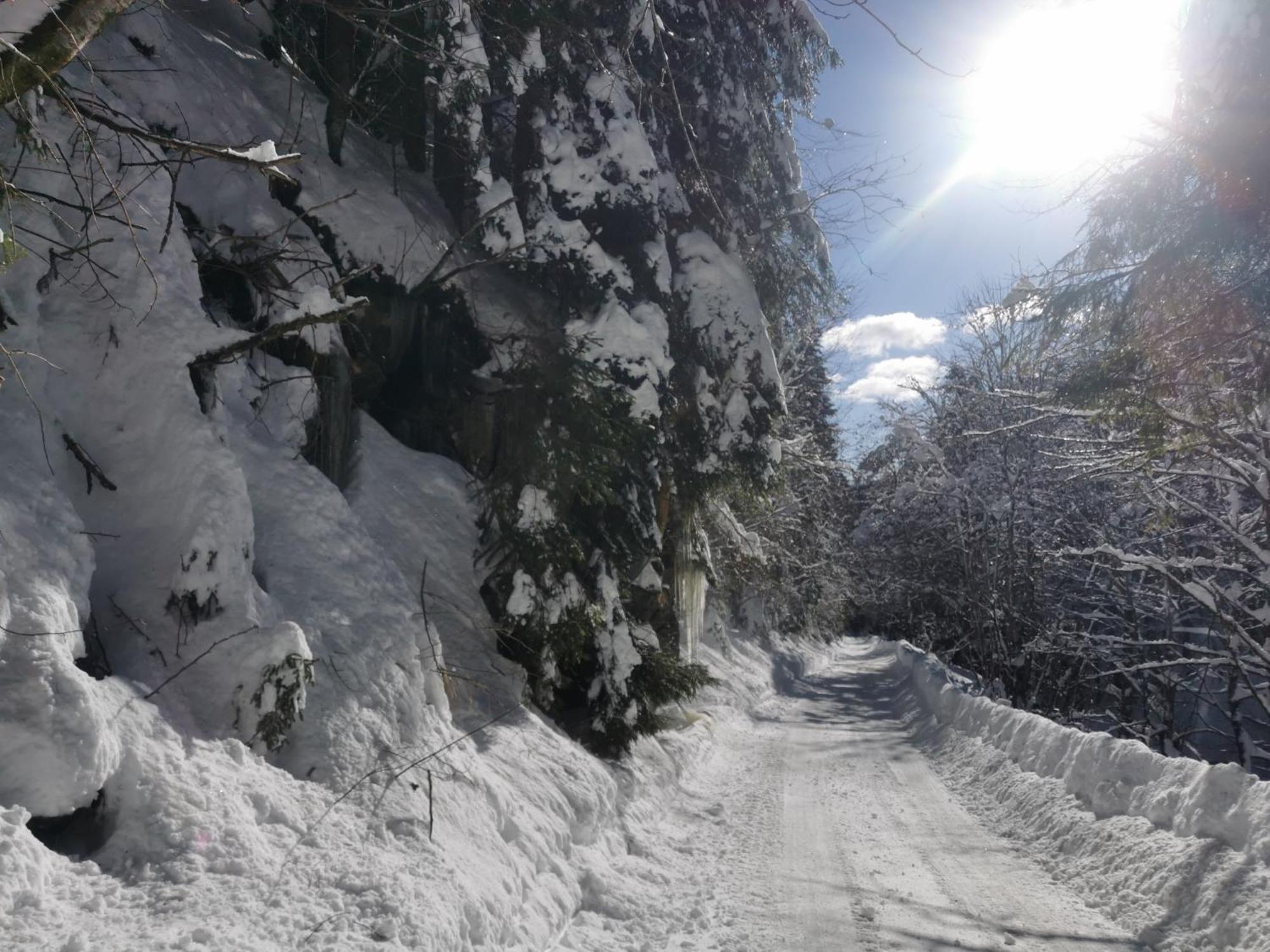 Apartments Rogla Jurgovo - Ski In Ski Out Lukanja Zewnętrze zdjęcie